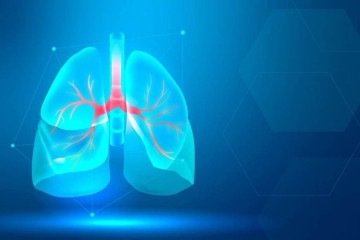Experimento identificou uma proteína nos pulmões, a vitronectina, que ativa a cicatrização causadora da fibrose pulmonar - (crédito: Reprodução/Freepik) Experimento identificou uma proteína nos pulmões, a vitronectina, que ativa a cicatrização causadora da fibrose pulmonar - (crédito: Reprodução/Freepik)