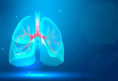 Experimento identificou uma proteína nos pulmões, a vitronectina, que ativa a cicatrização causadora da fibrose pulmonar -  (crédito: Reprodu&ccedil;&atilde;o/Freepik) -Experimento identificou uma proteína nos pulmões, a vitronectina, que ativa a cicatrização causadora da fibrose pulmonar -  (crédito: Reprodu&ccedil;&atilde;o/Freepik)