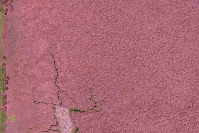 Obras de Helena Lopes no livro DO chão para o chão