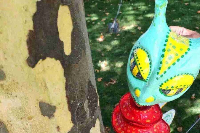 Festival de Teatro Lusófono Centro Cultura Renato Russo - 508 Sul.
Espetáculo Saaraci, o Último Gafanhoto do Deserto 
Com Saaraci Coletivo Teatral (Cabo Verde / Brasil / Portugal)

