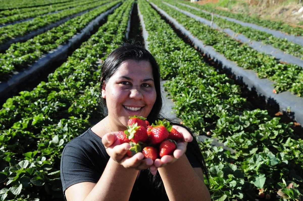 Produtores rurais mostram que a pura natureza se destaca à mesa no DF