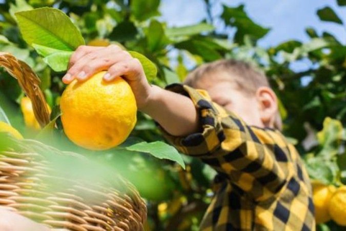 Compartilhar, um ingrediente fundamental - (crédito: Getty) Compartilhar, um ingrediente fundamental - (crédito: Getty)