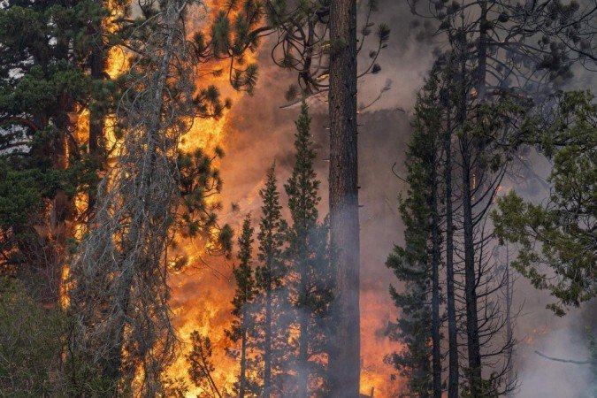 Incêndios causados pelo homem contribuíram para extinção em massa há 13 mil anos - (crédito: Getty Images) Incêndios causados pelo homem contribuíram para extinção em massa há 13 mil anos - (crédito: Getty Images)