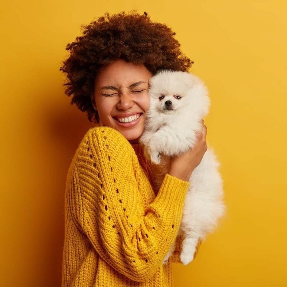 Cachorros são mais sensíveis a vozes femininas, diz estudo