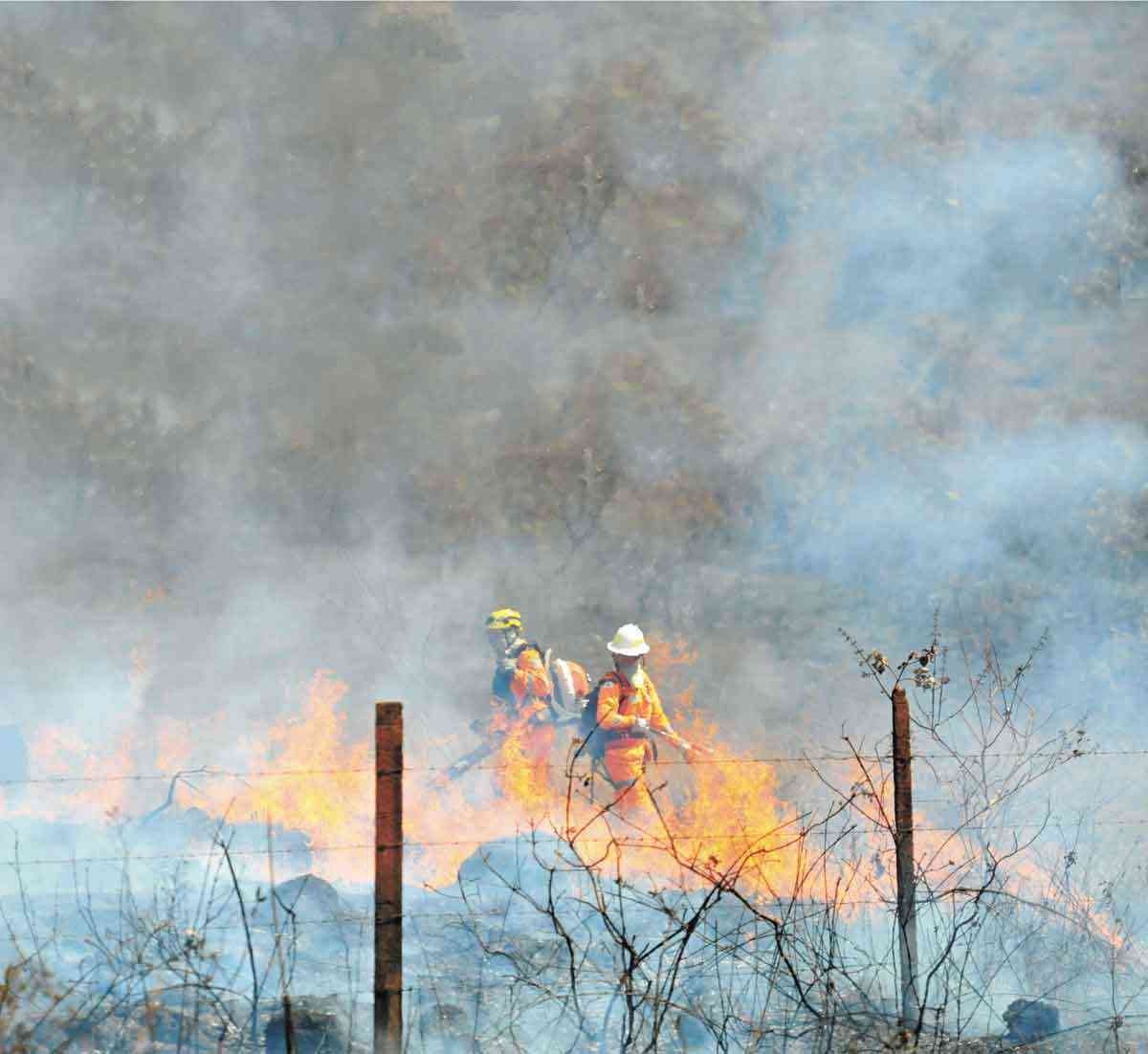 Minas entra em alerta para risco máximo de incêndios; entenda a ameaça 