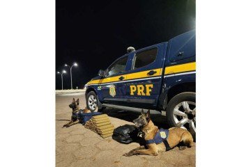 A passageira disse à PRF que pegou a droga na rodoviária de São Paulo e entregaria em Salvador. -  (crédito: Divulgação/PRF)