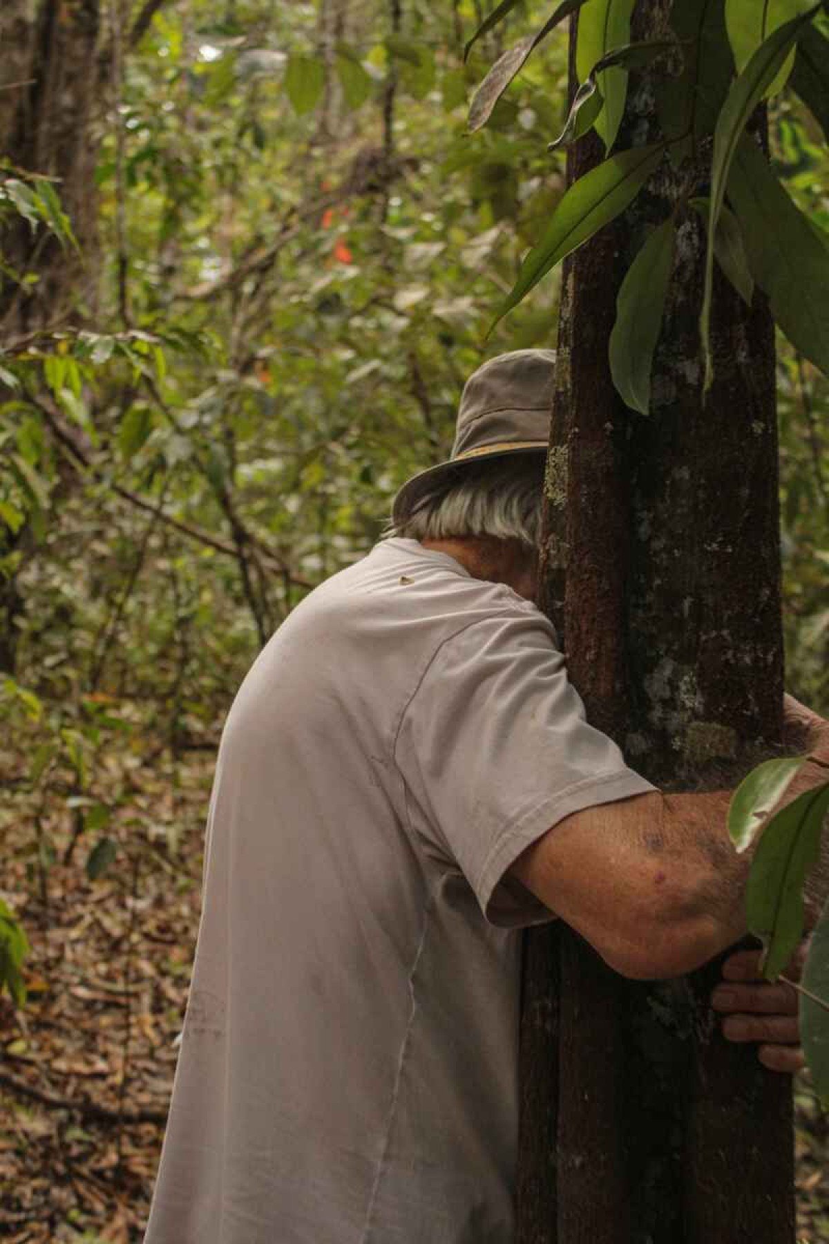O S&iacute;tio das Neves, do soci&oacute;logo e ambientalista Eug&ecirc;nio Giovenardi, se tornou o primeiro patrim&ocirc;nio natural perp&eacute;tuo do DF