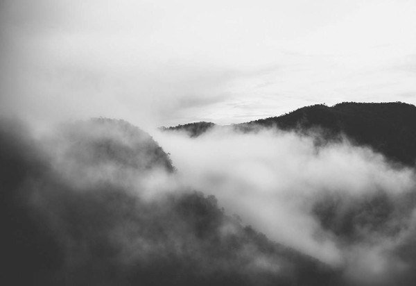 Vinícius Fernandes/ Divulgação