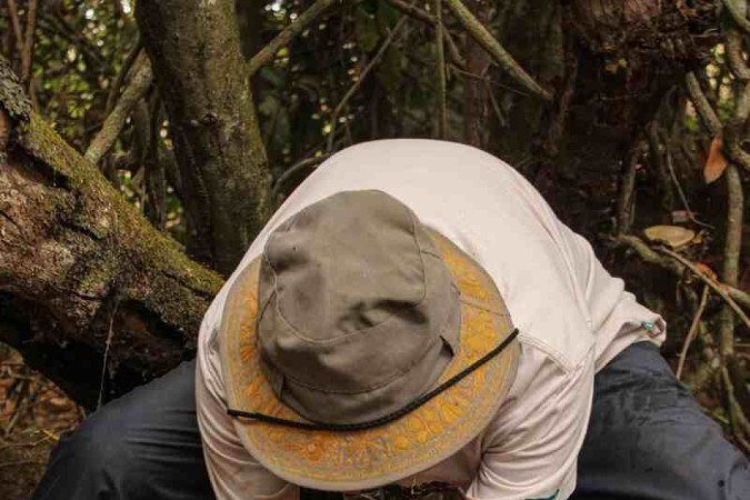   28/08/2023 Crédito: Kayo Magalhães/CB/D.A Press. Brasil. Brasilia - DF - Cidades. Sítio das Neves. Primeira área declarada no DF Patrimônio Natural em Caráter Perpétuo. Na foto, o ecossociólogo Eugenio Giovenardi. 