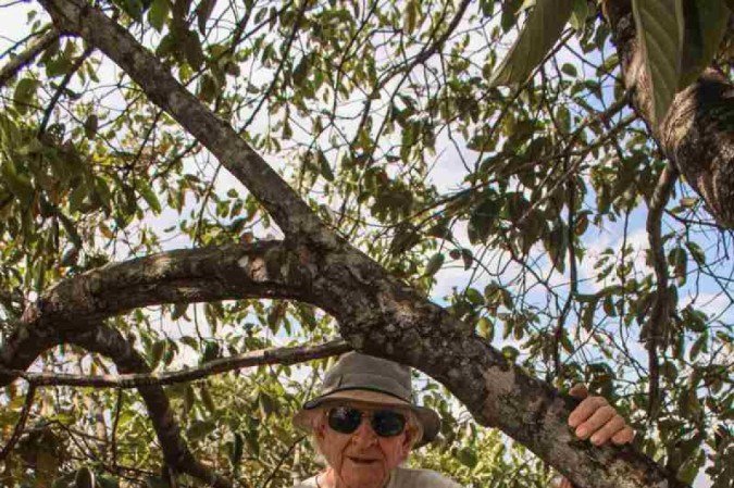 Ao lado da árvore Eliseu