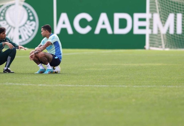 Cesar Greco/Palmeiras