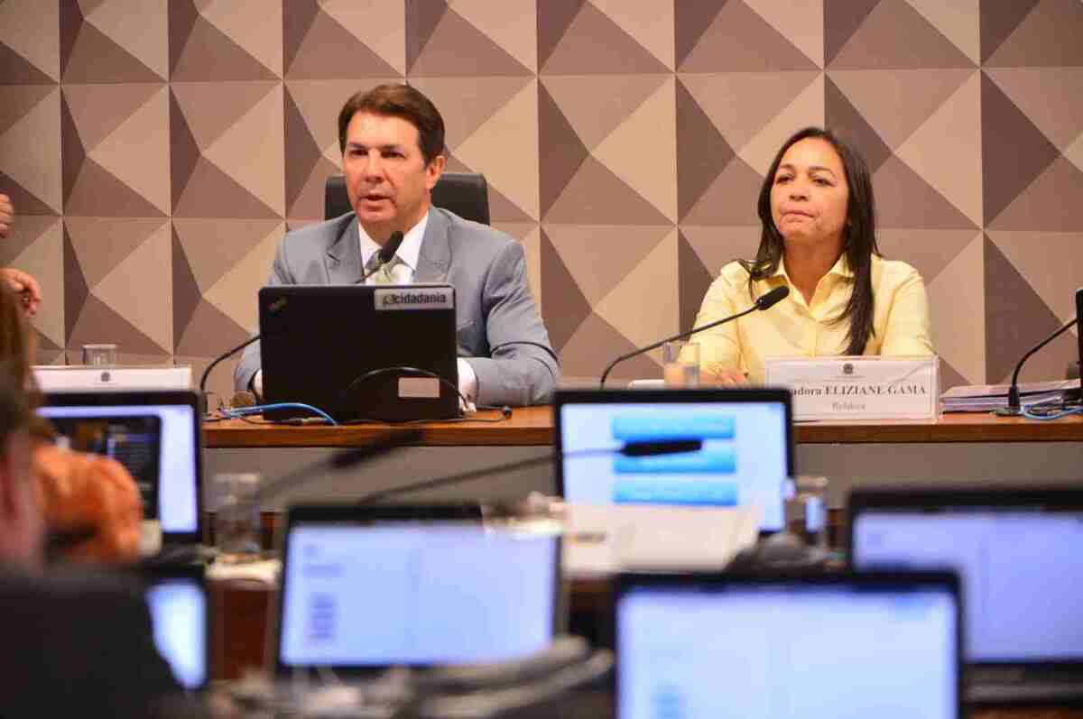 Para o deputado Arthur Maia, presidente da CPMI, e a relatora, Eliziane Gama, decisão de ministro é 
