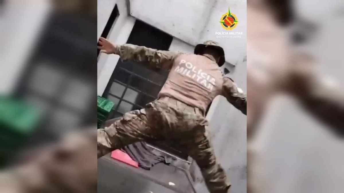 Urubu é resgatado de poço de ventilação em Taguatinga; veja vídeo