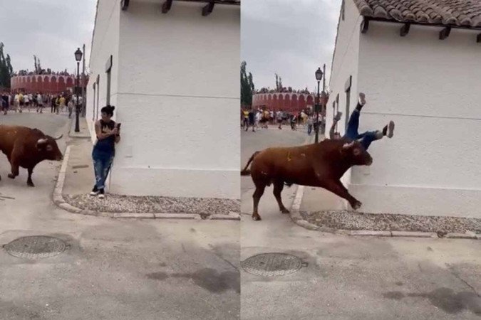 Touro invade campo durante partida de rugby na França; veja