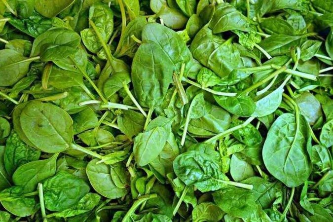 Entre os vegetais ricos em ferro, estão: feijões, semente de gergelim, castanha de caju, taioba, espinafre - (crédito: G.C./Pixabay) Entre os vegetais ricos em ferro, estão: feijões, semente de gergelim, castanha de caju, taioba, espinafre - (crédito: G.C./Pixabay)