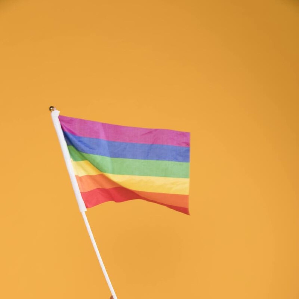 miau ≫ on X: liberando códigos de bandeiras da comunidade LGBTQI+ para  decorar seu perfil no FF no mês do orgulho - a thread(atualizada);   / X