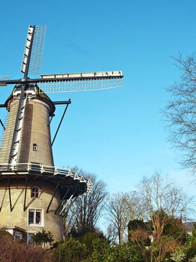 Os antigos moinhos de vento holandeses, Holanda, extensões rurais. Moinhos  de vento, o símbolo da Holanda . fotos, imagens de © mcherevan #163699988