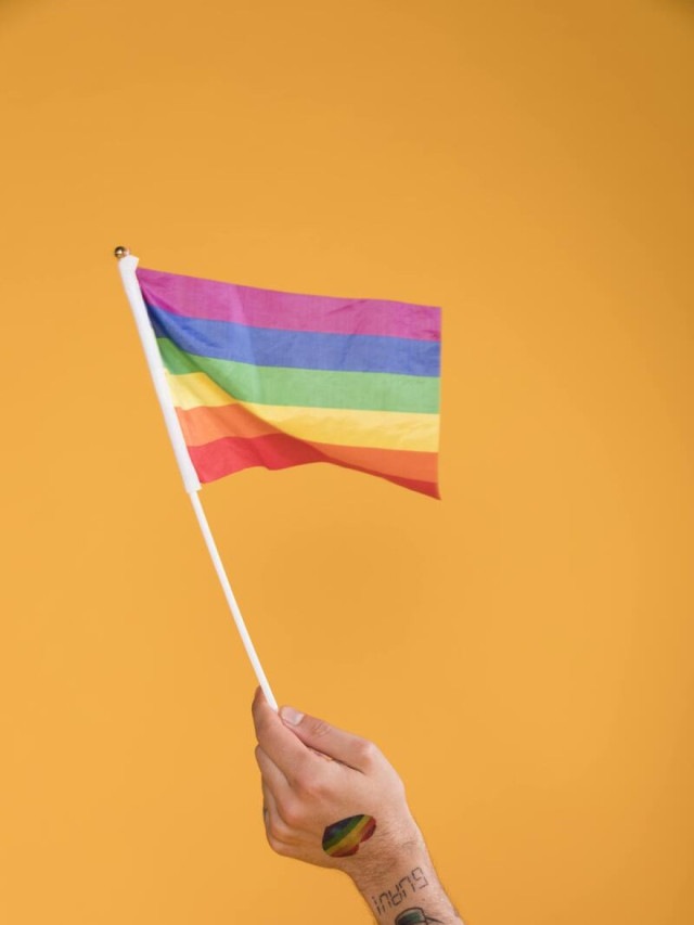 Lgbtqqicapf2k Entenda O Significado De Cada Letra Da Sigla 4584