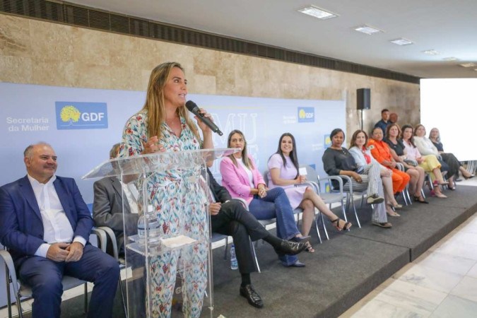 A governadora citou o desafio das conselheiras de ajudar o DF a reduzir o número de feminicídios -  (crédito: Renato Alves/ Agência Brasília)