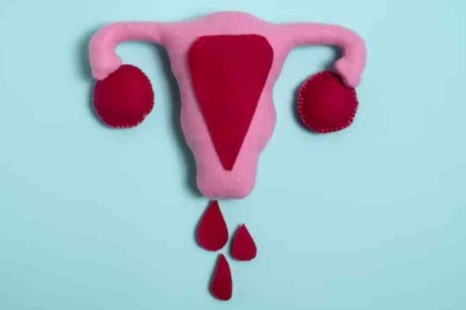 Ter conforto o ciclo menstrual é essencial - (crédito: Reprodução Freepik ) Ter conforto o ciclo menstrual é essencial - (crédito: Reprodução Freepik )