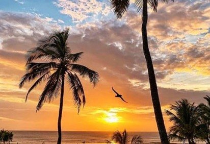   Praias lindas, mar cristalino, clima agradável, gastronomia apaixonante... Não é segredo que o Nordeste do Brasil é uma região que precisa ser explorada por todos pelo menos uma vez na vida. -  (crédito: Instagram/ @Jericoacoaraoficial)