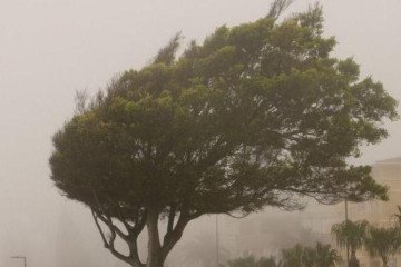 Cidades litorâneas também devem sentir maiores impactos -  (crédito: Getty Images)