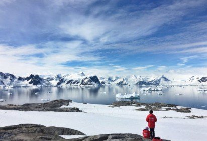 Recentemente, um grupo de cientistas anunciou que várias espécies novas de animais foram descobertas na Antártica. -  (crédito: Cassie Matias Unsplash)