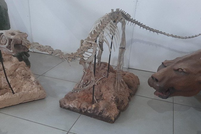 Esqueleto do <em>Guaibasaurus candelariensis</em> - (crédito: Evanildo da Silveira) Esqueleto do <em>Guaibasaurus candelariensis</em> - (crédito: Evanildo da Silveira)