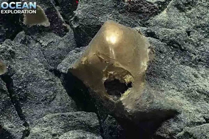 Pesquisadores coletaram o objeto dourado para um melhor estudo - (crédito: NOAA Ocean Exploration) Pesquisadores coletaram o objeto dourado para um melhor estudo - (crédito: NOAA Ocean Exploration)