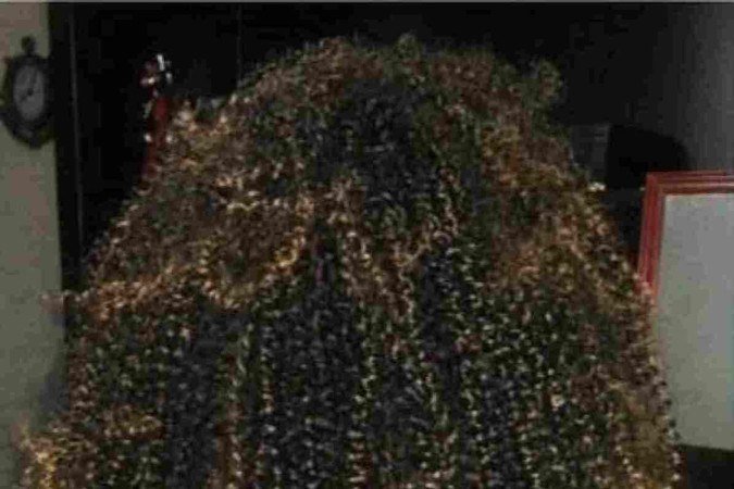 Éricka Braids também desenvolveu uma técnica para ajudar pessoas com calvície