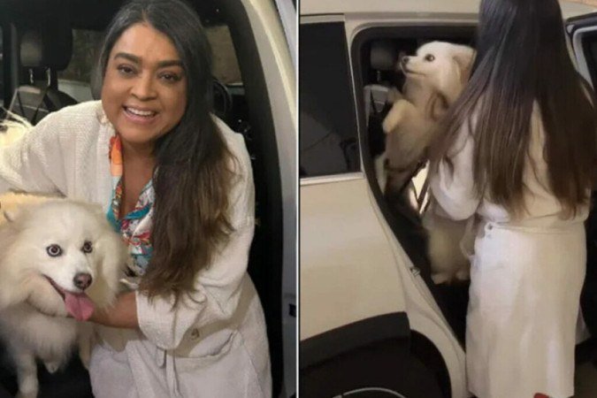 Preta Gil recebe visita de suas cachorrinhas na entrada do hospital - (crédito: Reprodução/ Instagram) Preta Gil recebe visita de suas cachorrinhas na entrada do hospital - (crédito: Reprodução/ Instagram)