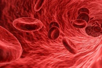 Conhecer os tipos sanguíneos e suas características é importante para situações de emergências médicas  -  (crédito: Reprodução: Pixabay)