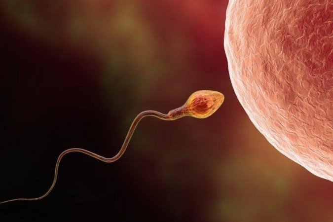 Contagem de espermatozoides diminuiu pela metade nos últimos 40 anos - (crédito: Getty Images) Contagem de espermatozoides diminuiu pela metade nos últimos 40 anos - (crédito: Getty Images)