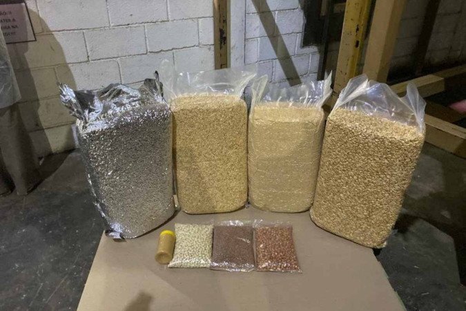 Amendoim produzido na cooperativa Coplana, em Jaboticabal, em diversas formas - (crédito: Mayara Souto/D.A. Pres) Amendoim produzido na cooperativa Coplana, em Jaboticabal, em diversas formas - (crédito: Mayara Souto/D.A. Pres)
