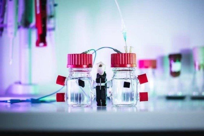 Equipe planeja explorar a flexibilidade genética da bactéria para adaptá-la a ambientes e matérias-primas específicos e torná-la uma ferramenta versátil para o desenvolvimento verde - (crédito: Jamani Caillet (EPFL)) Equipe planeja explorar a flexibilidade genética da bactéria para adaptá-la a ambientes e matérias-primas específicos e torná-la uma ferramenta versátil para o desenvolvimento verde - (crédito: Jamani Caillet (EPFL))