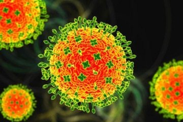 Nipah tem alta taxa de mortalidade, mas surtos só foram registrados no Sudeste Asiático -  (crédito: Getty Images)