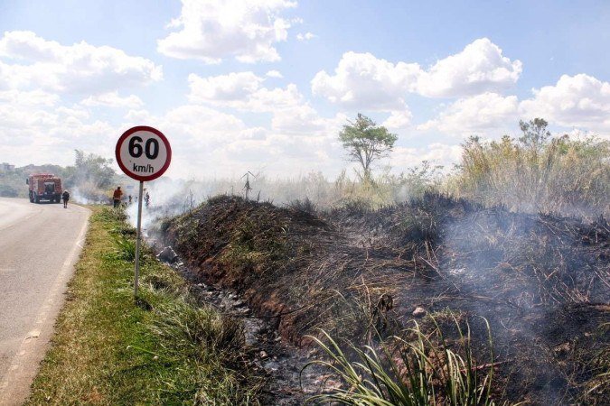Incêndio florestal na 214 norte. - (crédito: Kayo Magalhães/CB/D.A Press) Incêndio florestal na 214 norte. - (crédito: Kayo Magalhães/CB/D.A Press)