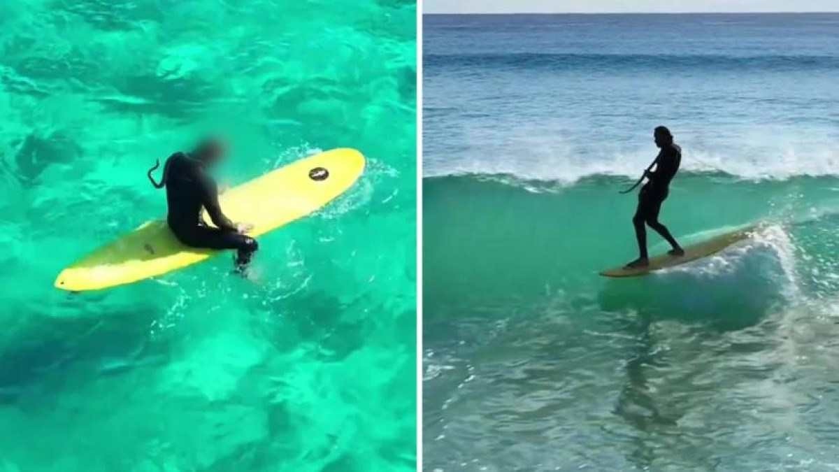 Australiano é multado por surfar com cobra píton no pescoço