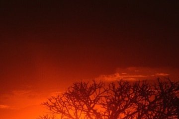 A onda de calor est&aacute; relacionada com o fen&ocirc;meno El Ni&ntilde;o e as emiss&otilde;es de gases de efeito estufa -  (crédito: Ed Alves/CB/D.A Press)