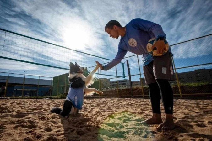Floki e Gustavo são companheiros até no futevôlei - (crédito: Reprodução/Instagram:@dog_altinha) Floki e Gustavo são companheiros até no futevôlei - (crédito: Reprodução/Instagram:@dog_altinha)