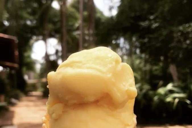 Sorvete de butiá da sorveteria Nata do Cerrado