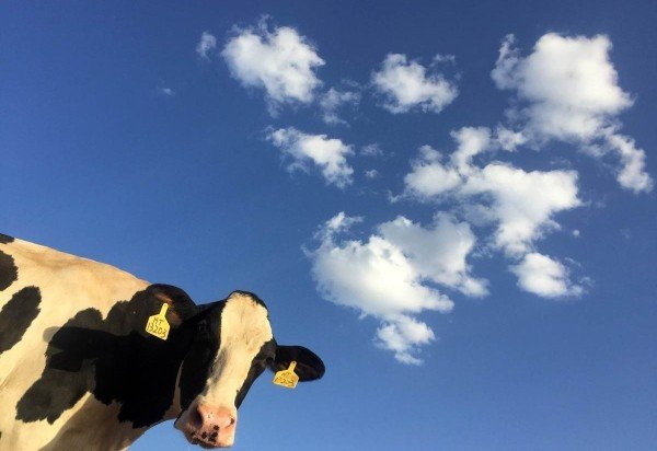 Reprodução Unsplah