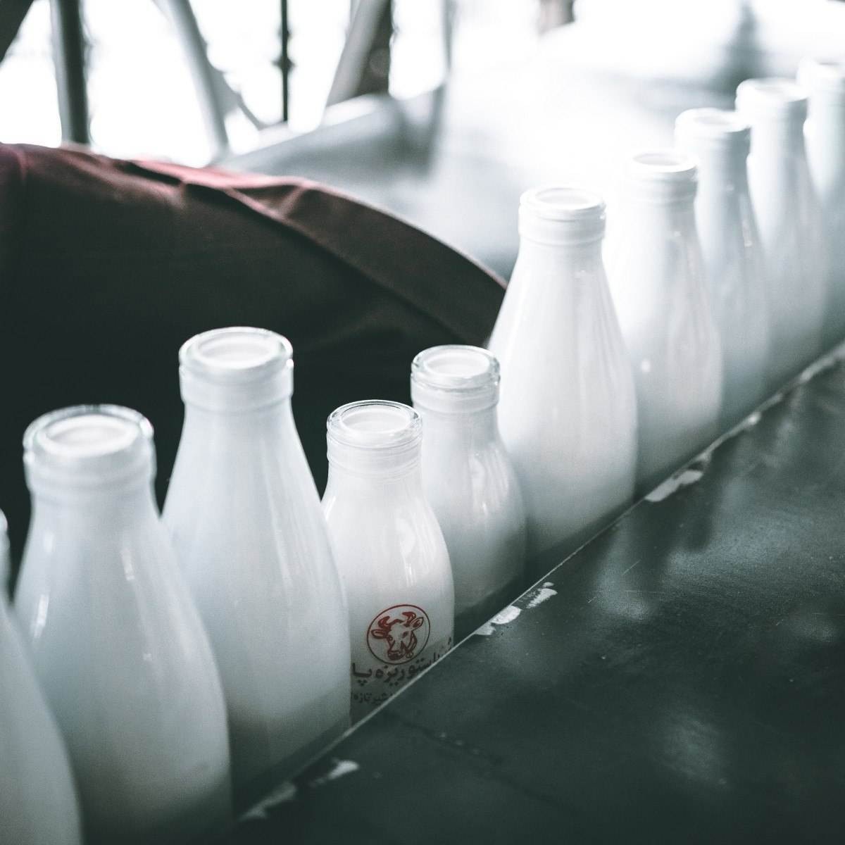 Decreto que isenta indústria que usa leite nacional já saiu do ministério