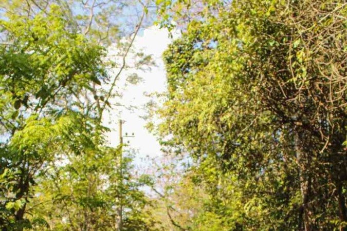  De acordo com o Iphan, são 63 sítios arqueológicos no DF