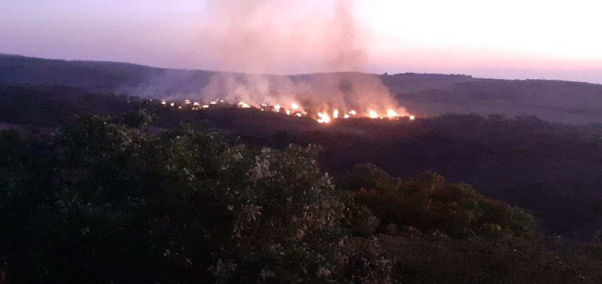 Alerta de queimada ilegal em área desmatada na Chapada dos Veadeiros