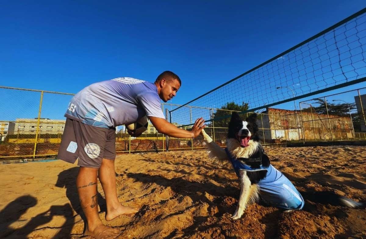 Cachorro faz sucesso nas redes sociais após viralizar em vídeos jogando futevôlei. Floki tem mais de 400 mil seguidores no TikTok e 100 mil no Instagram. 