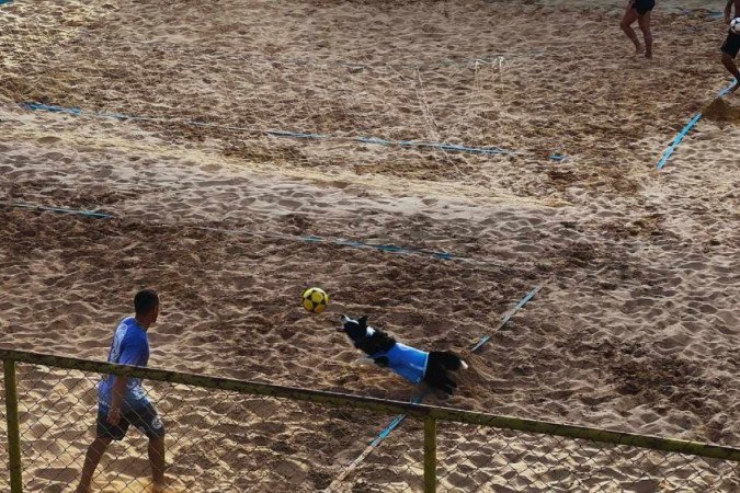 Gustavo Rodrigues e o cãozinho Floki jogando futevôlei na quadra. 