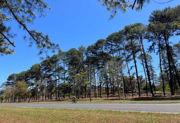 Material cedido ao Correio