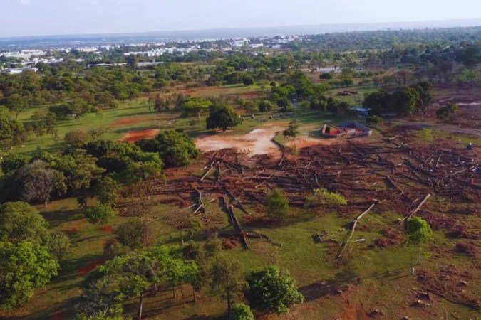 Vista aérea do antigo Bosque dos Pinheiros do Parque da Cidade.  -  (crédito: Arthur Ramos / CB)