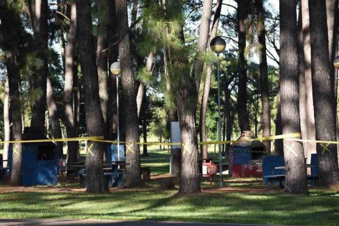 Churrasqueiras do Bosque dos Pinheiros no Parque da Cidade antes da remoção das árvores  -  (crédito: Arquivo / CB)